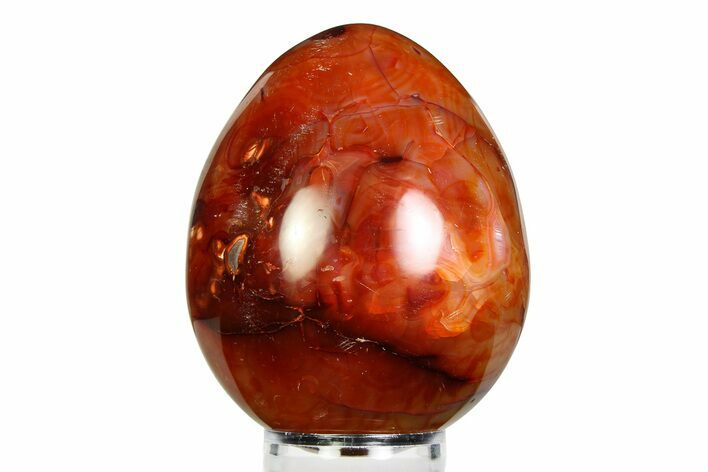 Vibrant Polished Carnelian Agate Egg - Madagascar #355492
